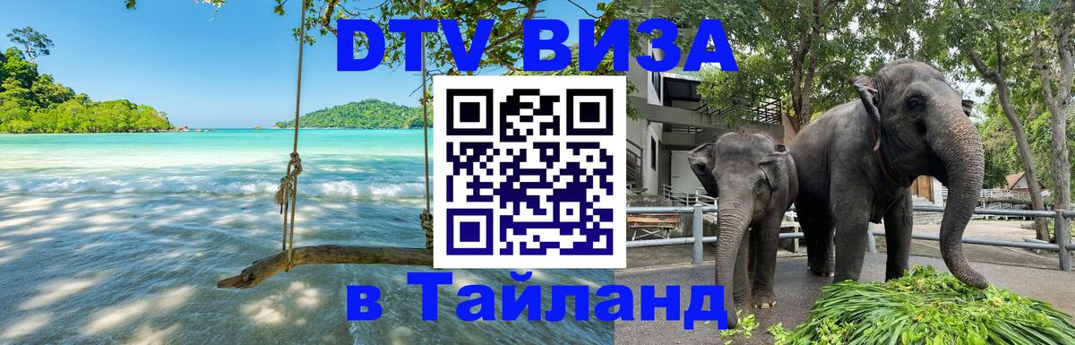 Сколько стоит DTV виза — актуальные цены, оформление даже без документов - 19.11.2025 